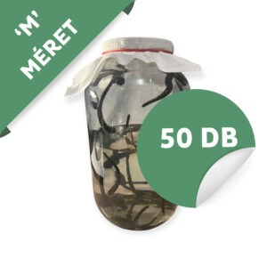 Orvosi Pióca - (HIRUDO MEDICINALIS "M") 50 darab - 1100 Ft/db