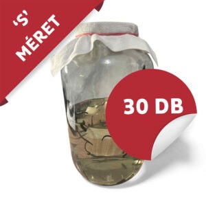 Orvosi Pióca - (HIRUDO MEDICINALIS "S") 30 darab - 1300/db