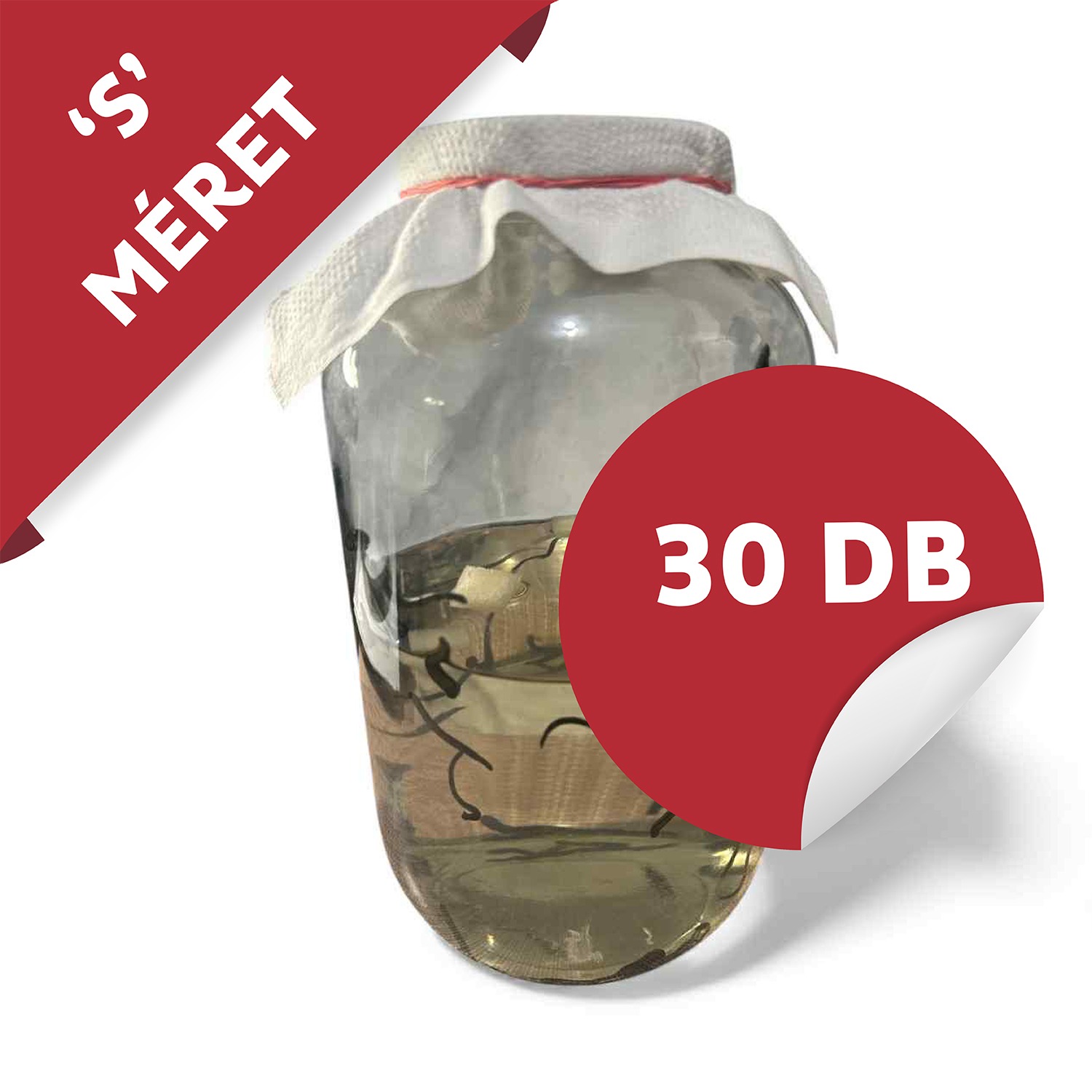 Orvosi Pióca - (HIRUDO MEDICINALIS "S") 30 darab - 1300/db